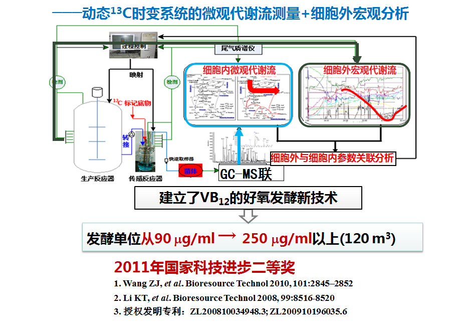 維生素B12發(fā)酵過(guò)程優(yōu)化