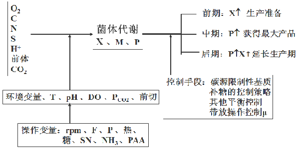 青霉素發(fā)酵過(guò)程優(yōu)化控制